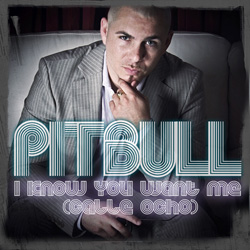 remixes: Pitbull - I Know You Want Me