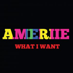Ameriie - What I Want (Wideboys Extended Mix)
